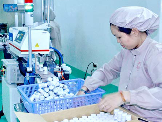 Thị trường Việt Nam có sức cạnh tranh rất lớn trong lĩnh vực dược phẩm