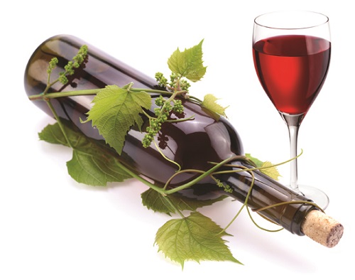 Các polyphenol trong rượu vang góp phần chống lại vi khuẩn gây bệnh răng miệng.